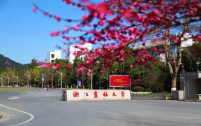 2024浙江农林大学录取分数线：辽宁最低543分