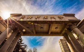 2024东北林业大学录取分数线：贵州最低520分