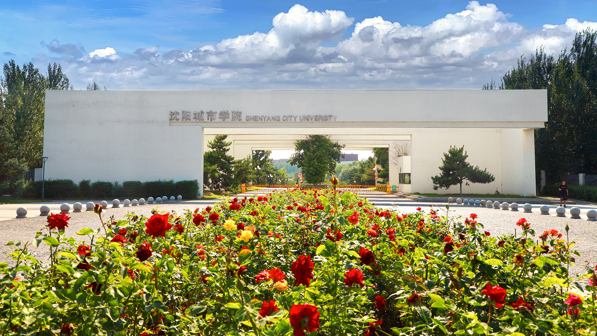 沈阳城市学院