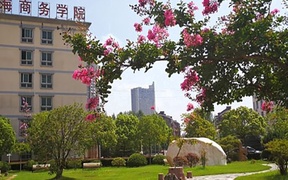 2024年安徽绿海商务职业学院录取分数线，河北最低276分