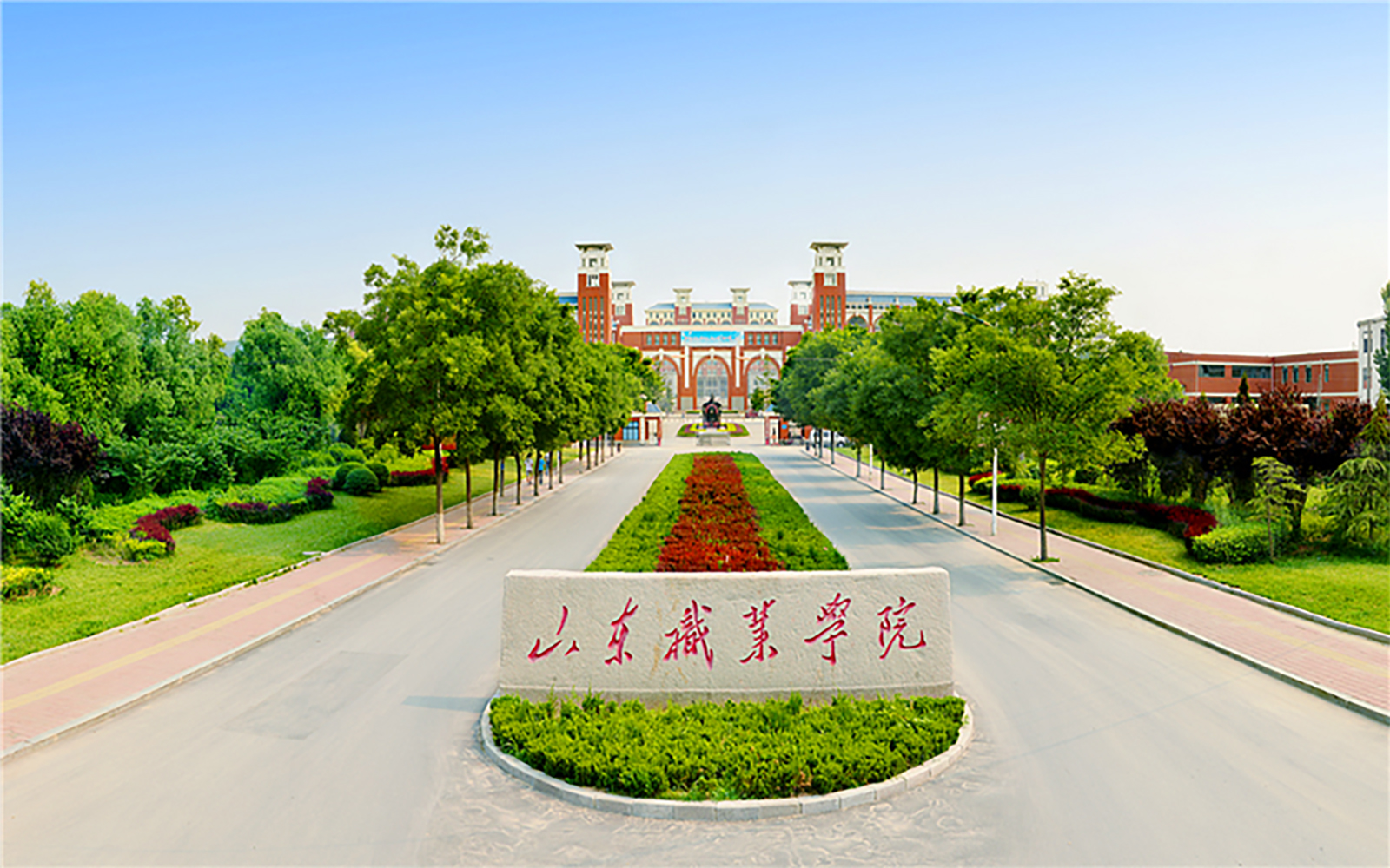 山东职业学院