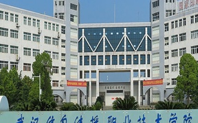 武汉信息传播职业技术学院近三年录取分数线及位次：四川2022-2024最低分