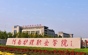河南护理职业学院近三年录取分数线及位次：陕西2022-2024最低分