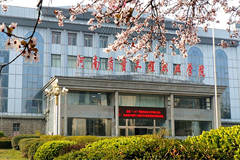 陕西297分能上什么大学？附2025年可以报考的大学名单