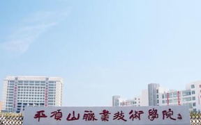 平顶山职业技术学院学费多少钱一年：3700-4200元/年（2025填报参考）