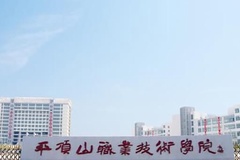 平顶山职业技术学院学费多少钱一年：3700-4200元/年（2025填报参考）